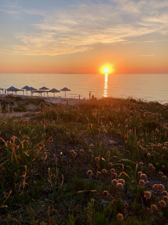 Villa Casa THE NEST - Il Nido sul Mare Badesi Esterno foto